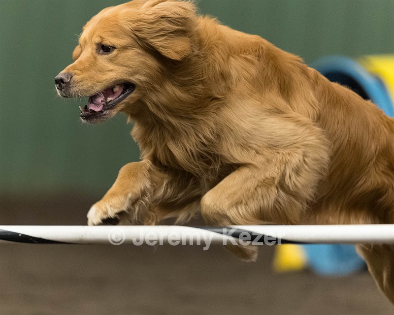 Pup-Pup Beaulieu