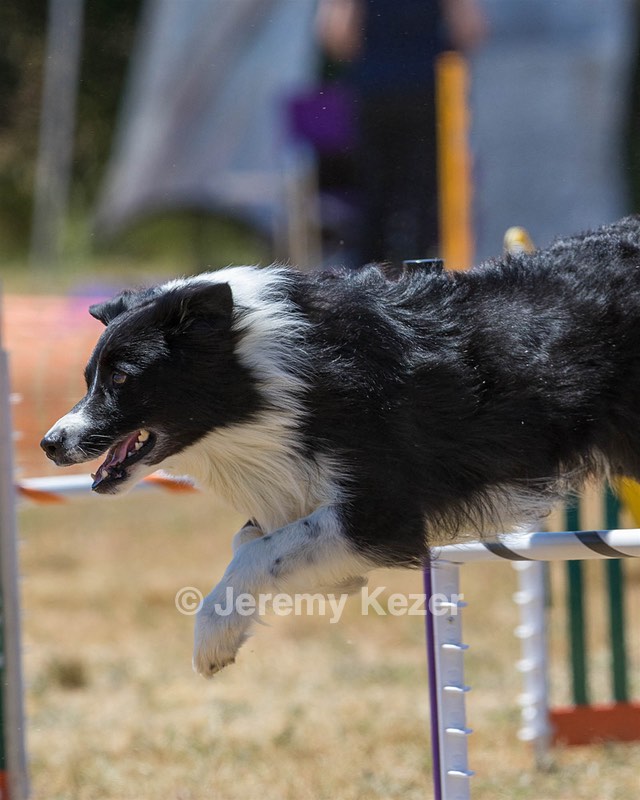 20160618-CCKC-1574.jpg