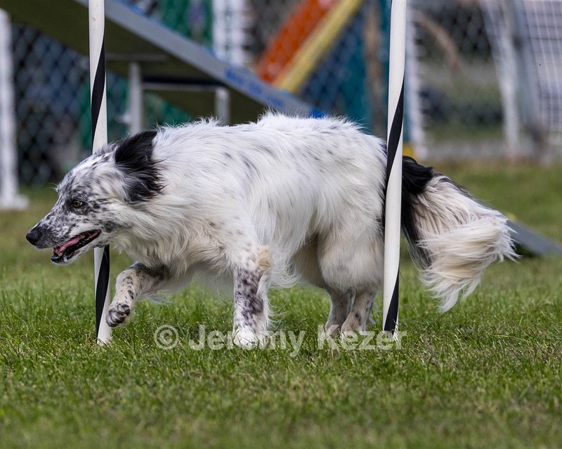 20230917-PVKC-2809.jpg