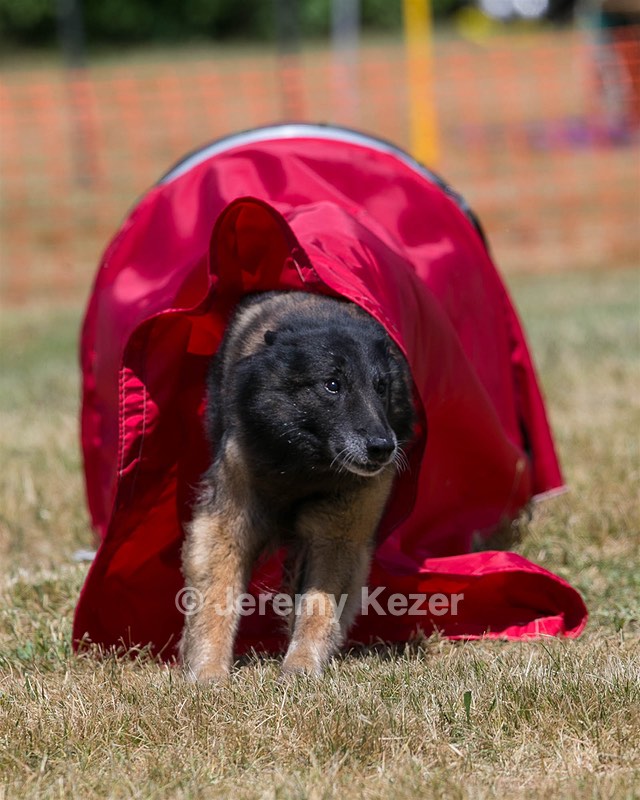 20150613-CCKC-0264.jpg