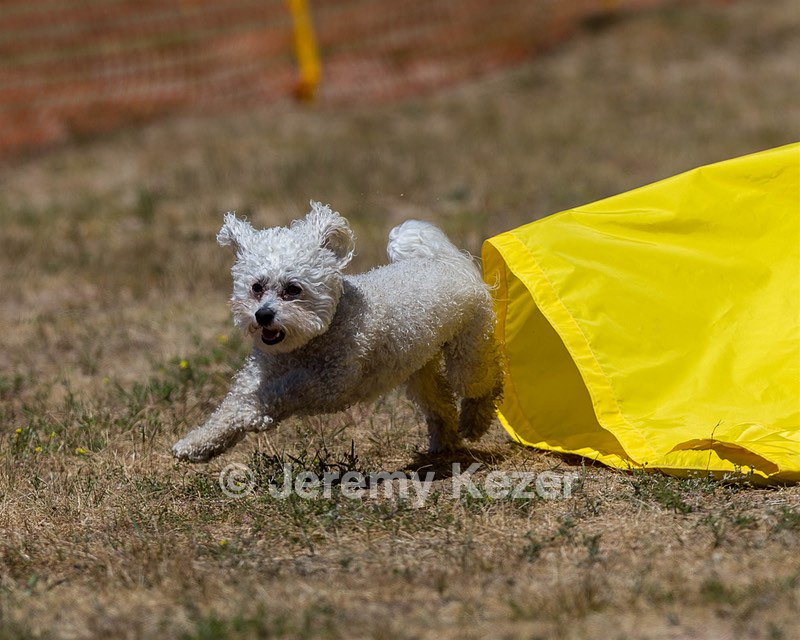 20160619-CCKC-1113.jpg