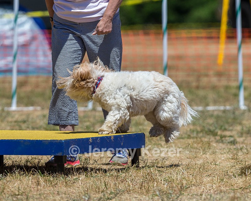 20160619-CCKC-1159.jpg