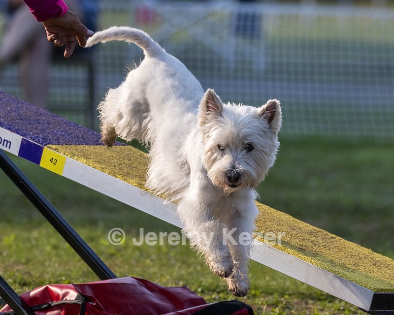Cricket Turco-Levin