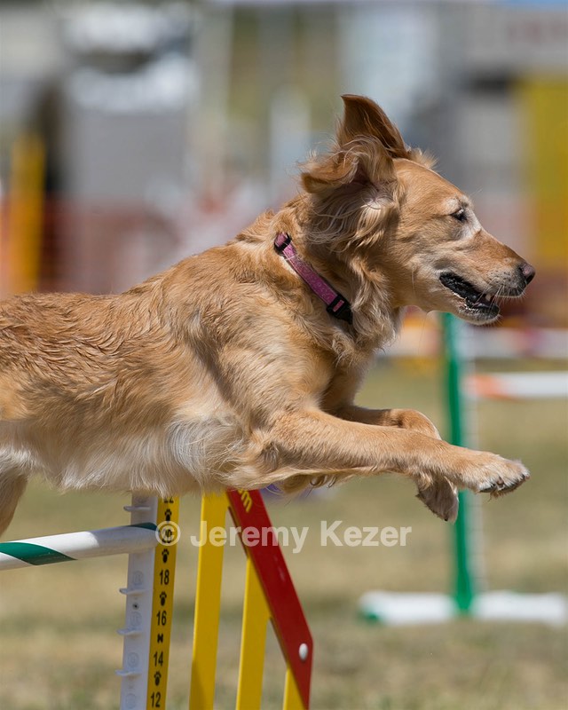 20150614-CCKC-1744.jpg