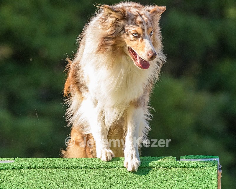 20160618-CCKC-2441.jpg