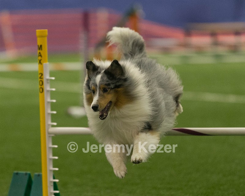 20150321-LEAP-1331.jpg