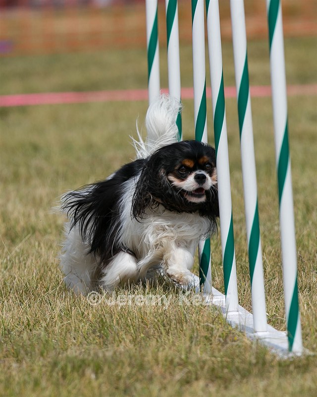 20150612-CCKC-0188.jpg