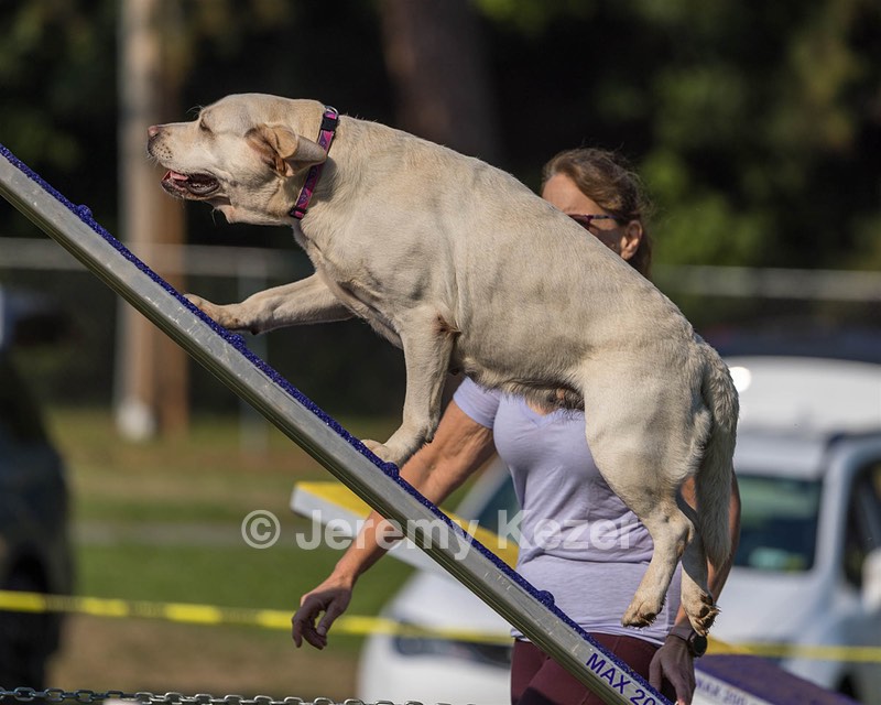 Violet Duke