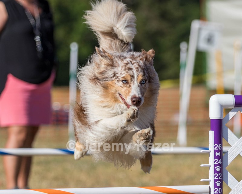 20160618-CCKC-2449.jpg