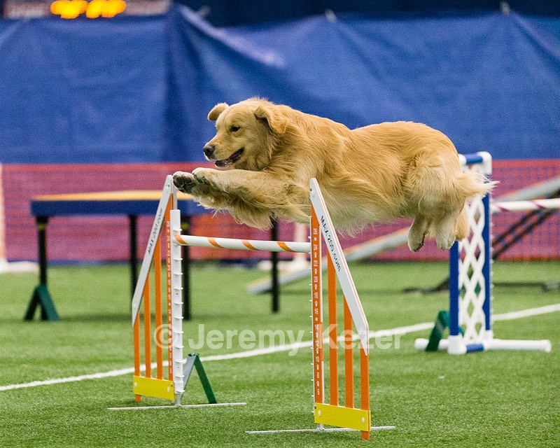 20150322-LEAP-0744.jpg