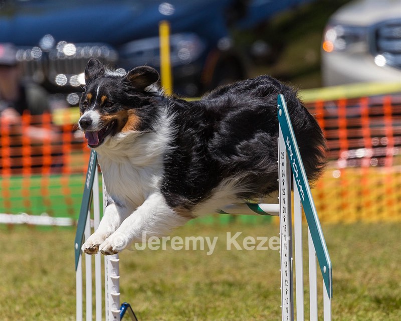 Kona Destremps