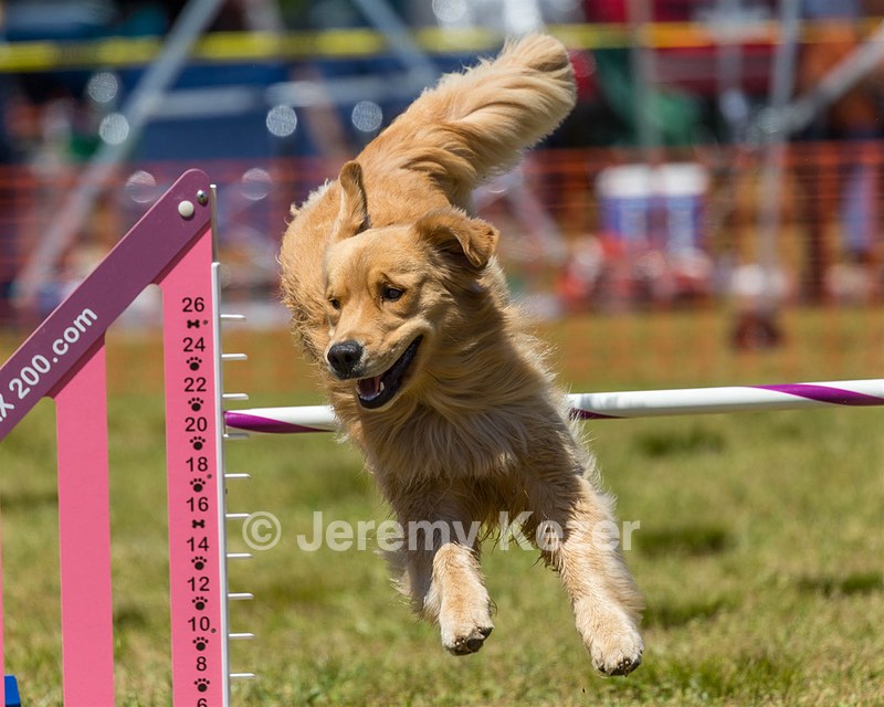 20190615-CCKC-1068.jpg