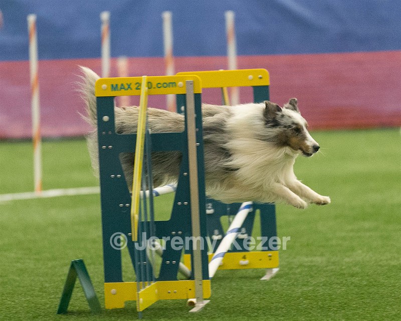 20150321-LEAP-1402.jpg