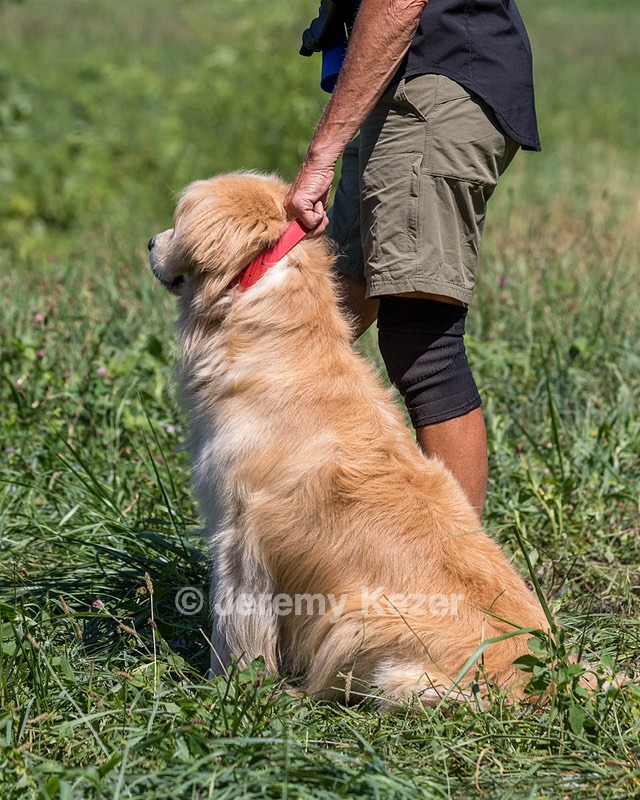 Piper Stremlau