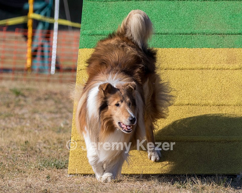 20160618-CCKC-2437.jpg
