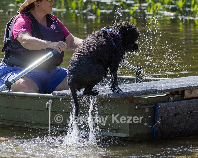 Perry Schaub