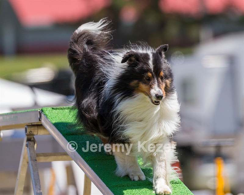 20180617-1342.jpg