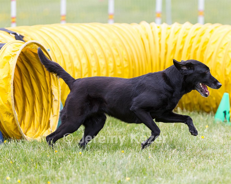 Juno Lyman