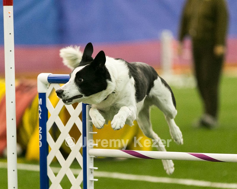 20150321-LEAP-0452.jpg