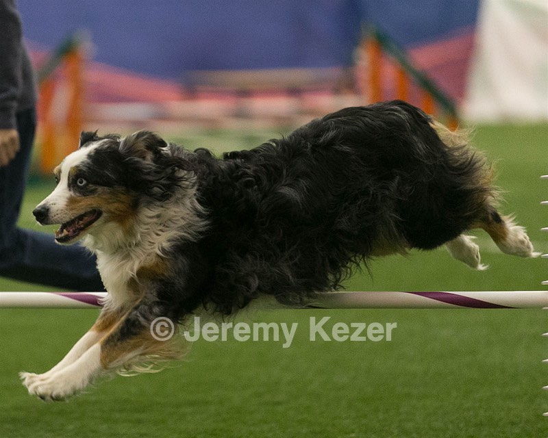 20150321-LEAP-1445.jpg