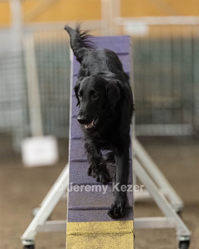 Kibo McCune