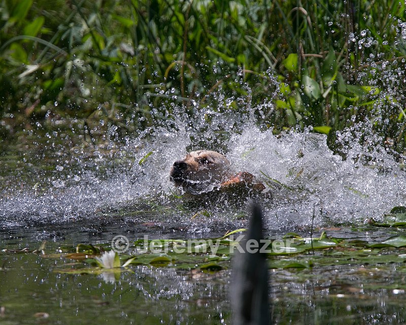 autumn Anderson