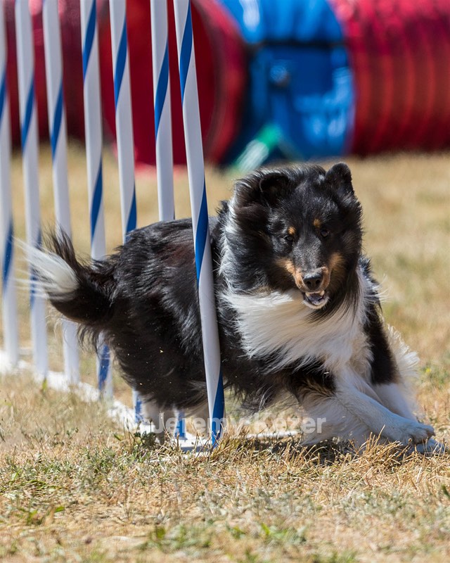 20160618-CCKC-1689.jpg