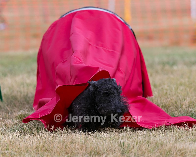 20150613-CCKC-0021.jpg