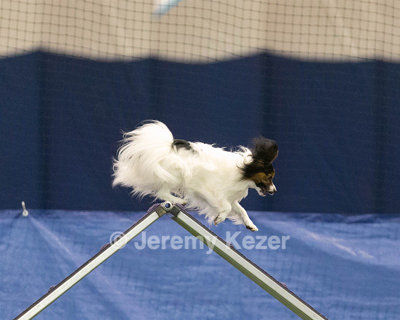 20150321-LEAP-1509.jpg