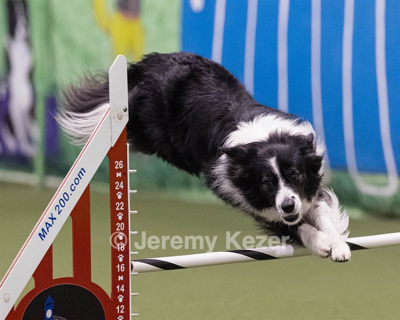 Breeze Schunk