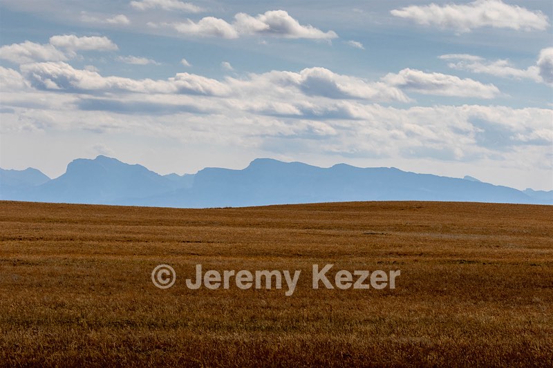 Montana Plains