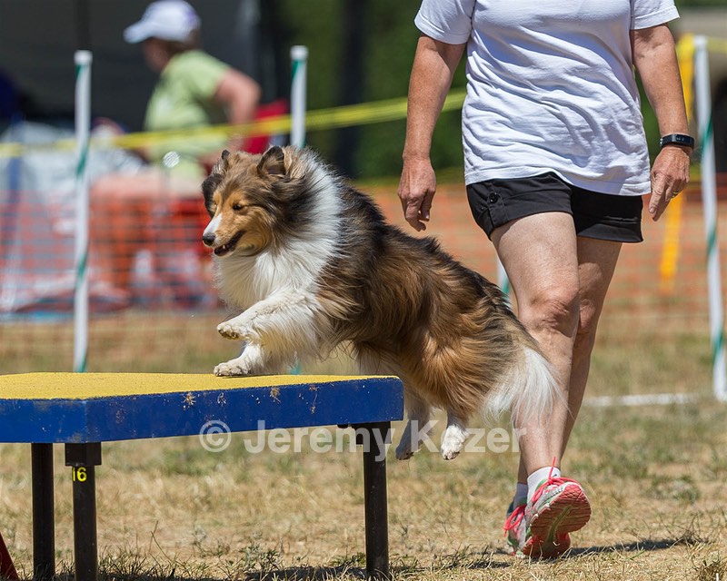 20160619-CCKC-1232.jpg