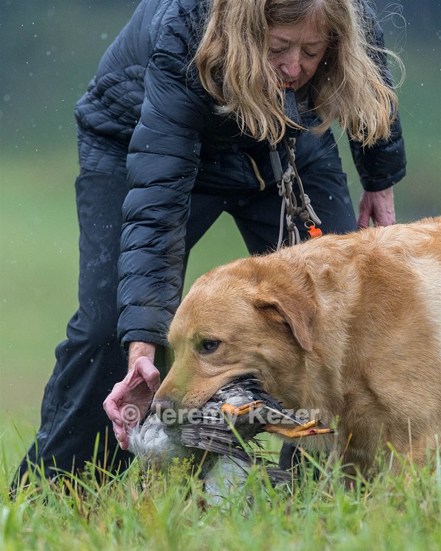 Quoddy Renzulli