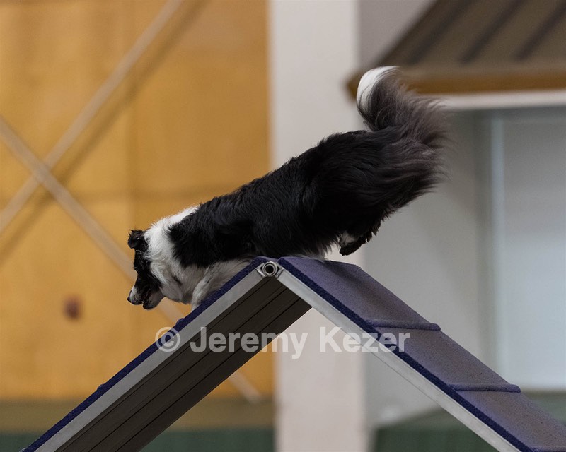 Breeze Schunk