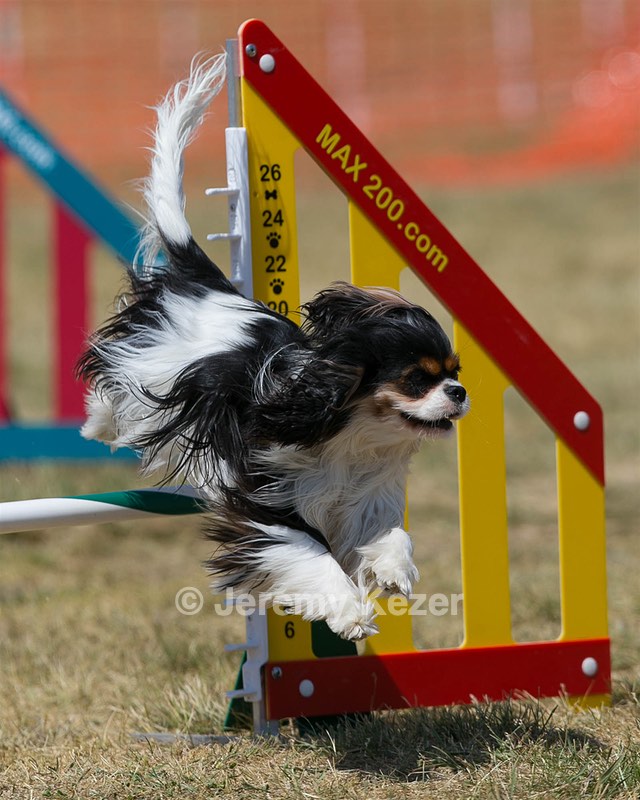 20150614-CCKC-1830.jpg