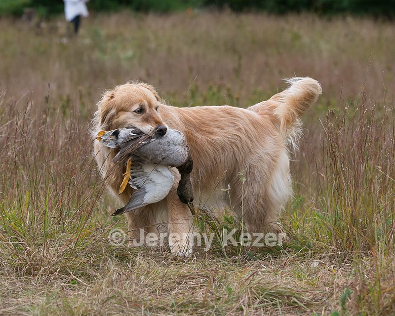 20130921-WCL-0006.jpg
