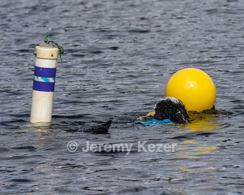 Paint