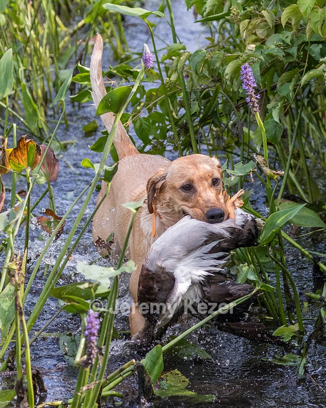 Winnie Valentino