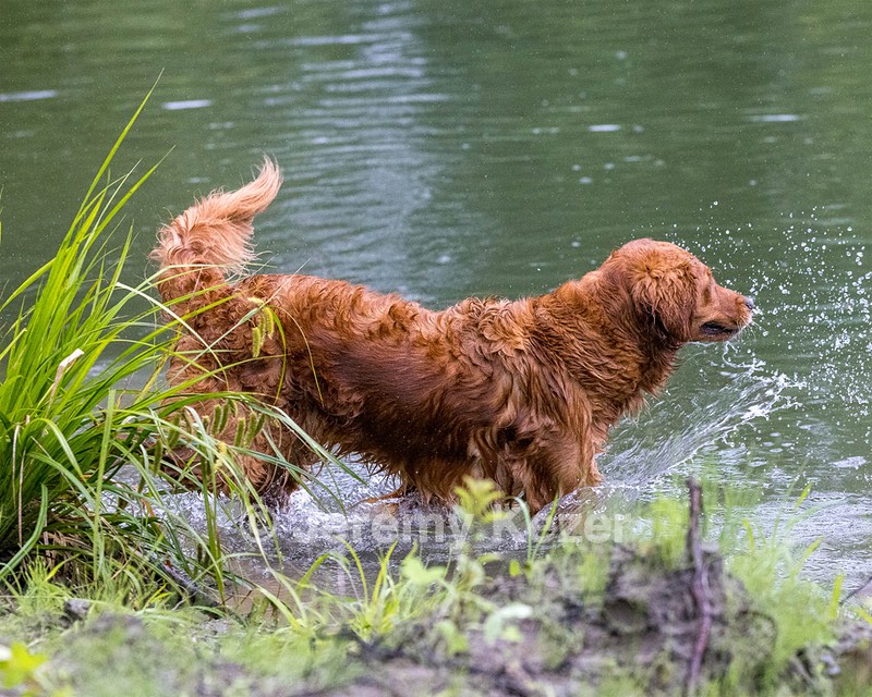 River Amidon