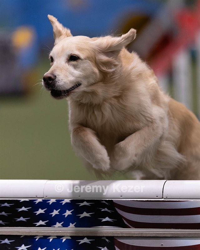 20260221-0090.jpg