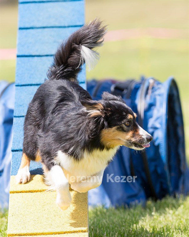 20160514-NEAT-1060.jpg