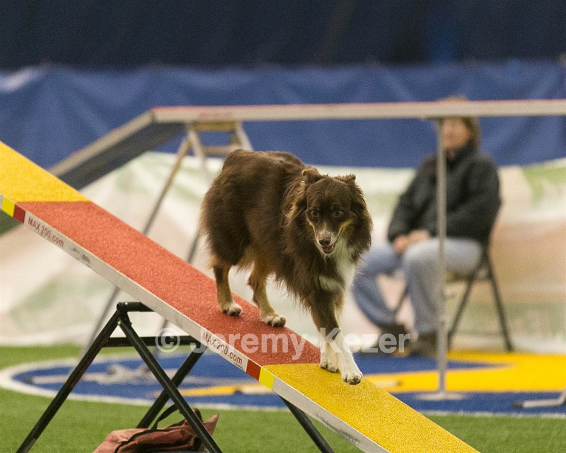 20150321-LEAP-0951.jpg