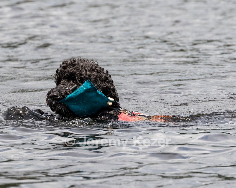 "Perry" & Diana