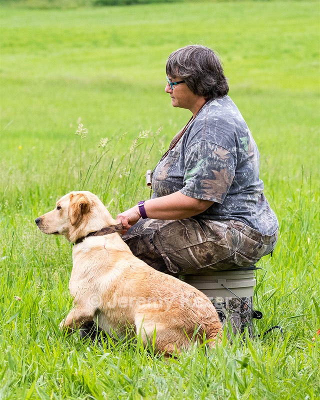 Ketch