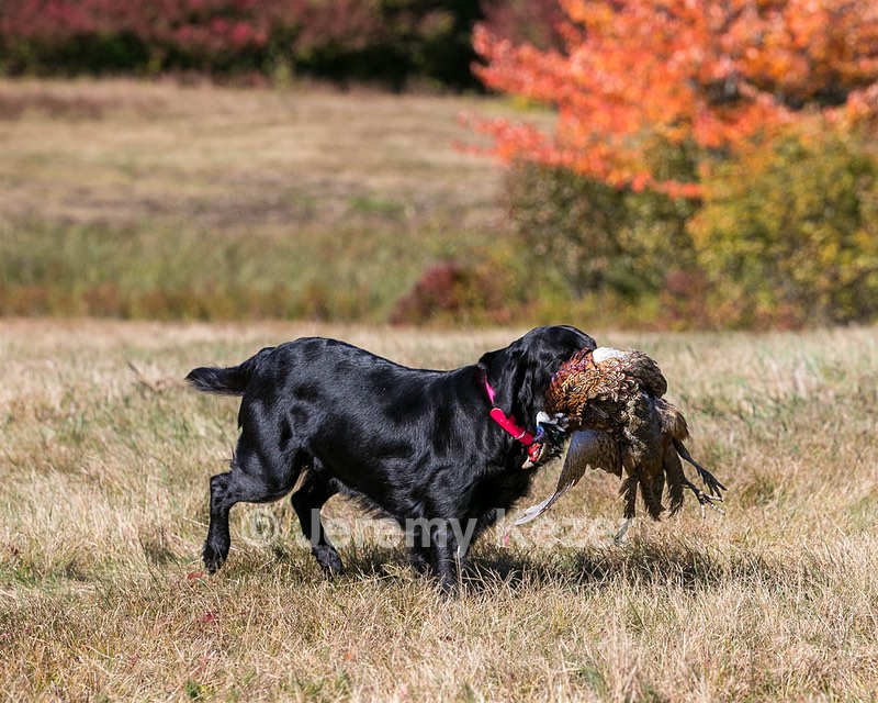 20151010-WCL-0039.jpg