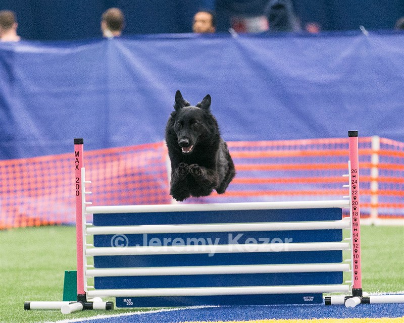 20150322-LEAP-0411.jpg