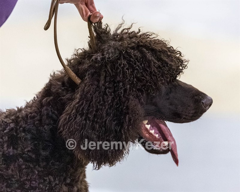 20260228-0130.jpg