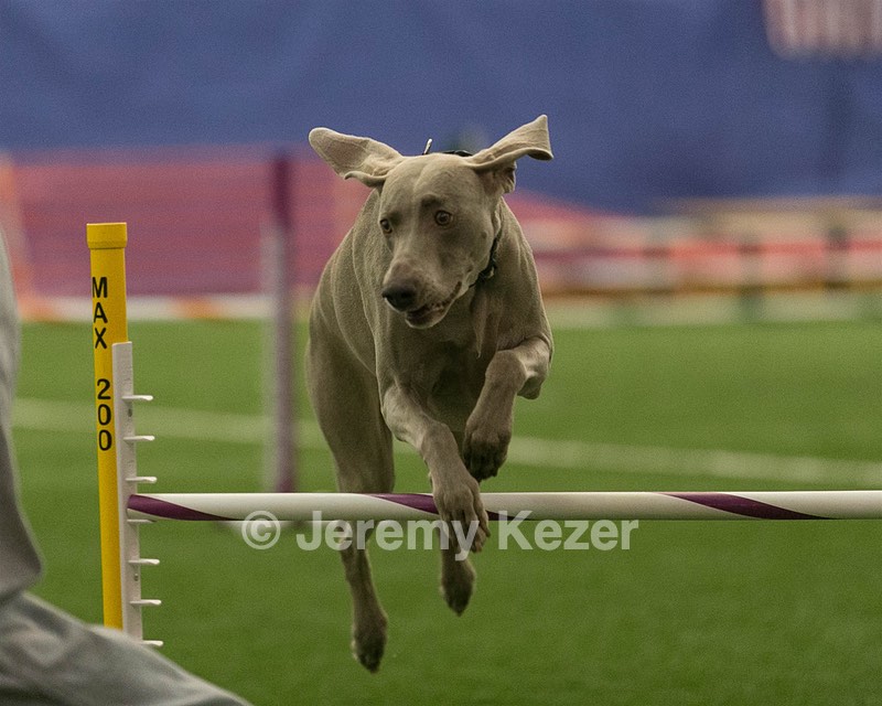 20150321-LEAP-1221.jpg