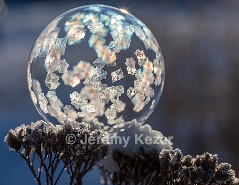Frozen Soap Bubbles