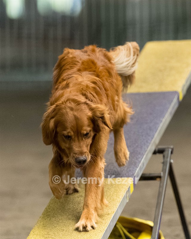 Pup-Pup Beaulieu